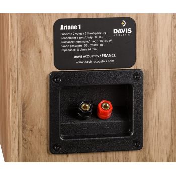 Davis Acoustics Ariane-1 oak, connections