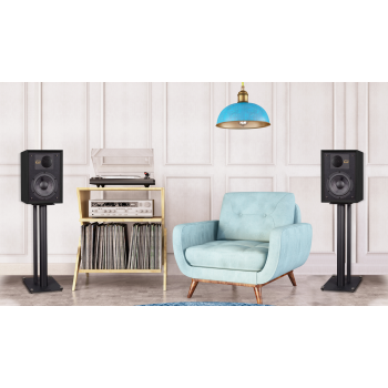 Wharfedale Denton 85 black in room