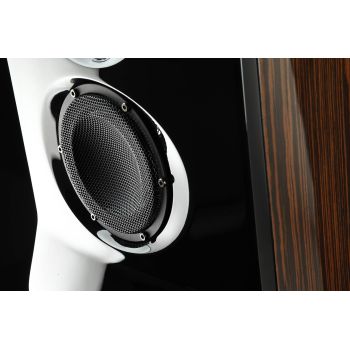 Usher ML-801 high gloss macassar ebony midrange