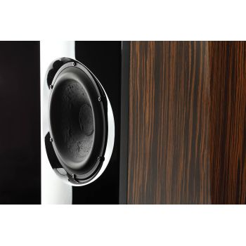 Usher ML-801 high gloss macassar ebony woofer