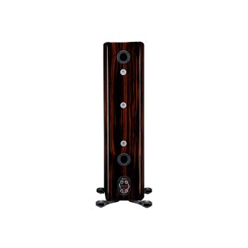 Monitor Audio Platinum-300 3G rear, connections