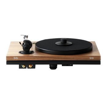 Music Hall MMF-5.3 Special Edition rear
