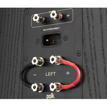 Polk Audio Legend L800 connections