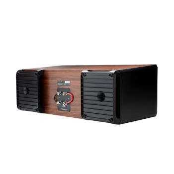 Polk Audio Legend L400 black, back, connections