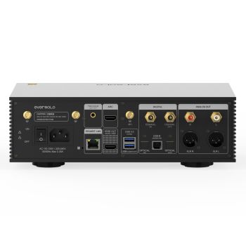 EVERsolo DMP-A6 Gen 2, rear-connections