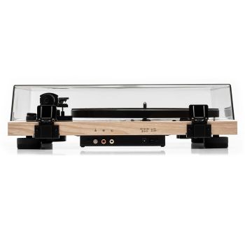 Argon Audio TT-3 ash, rear, connections