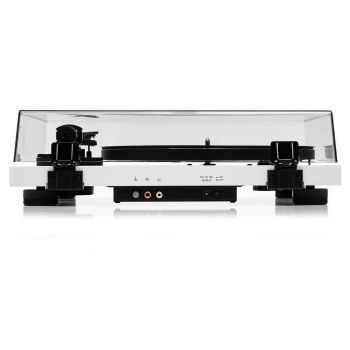 Argon Audio TT-3 white, rear, connections