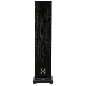 Fyne Audio F501S black oak, rear, connections
