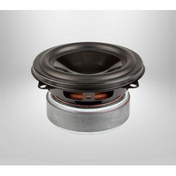 Paradigm Cinema-100 woofer