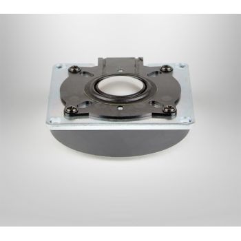 Paradigm Cinema-100 tweeter