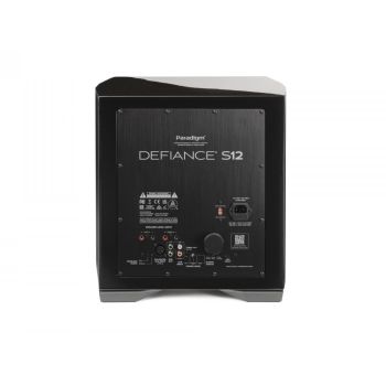 Paradigm Defiance S12 rear, connections