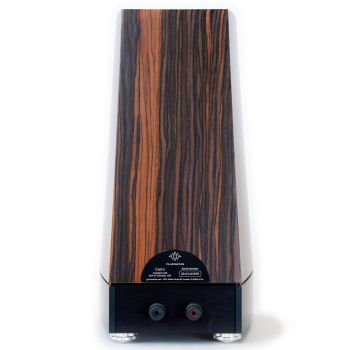 YG Acoustics Peaks Cairn ebony, rear, connections