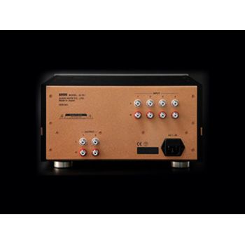 Audio Note Kondo G-70i rear-connections