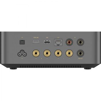 WiiM Amp Ultra rear-connections