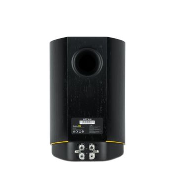 rcam Radia R25 rear-connections