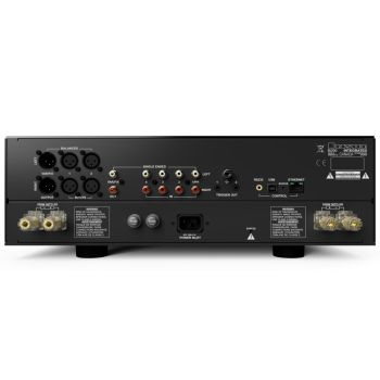 Bryston Bi-200 rear-connections