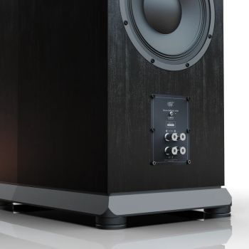 MoFi Electronics SourcePoint V10 Master Edition black rear-connections