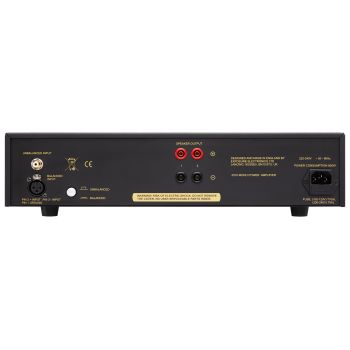 Exposure 5510 Mono Power Amplifier rear-connections