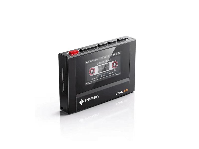 FiiO SnowSky ECHO Mini