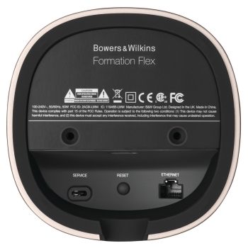 Bowers & Wilkins Formation Flex connections