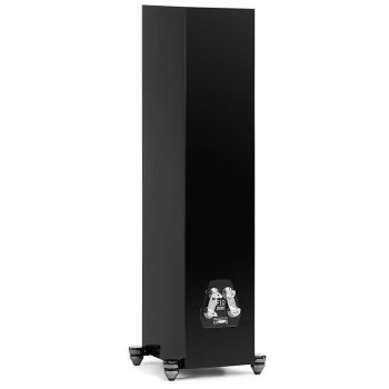 Martin Logan Motion F10 rear, connections
